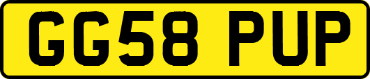 GG58PUP