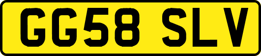 GG58SLV