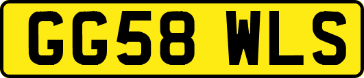 GG58WLS