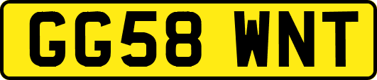 GG58WNT