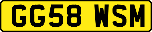 GG58WSM