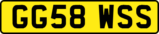 GG58WSS