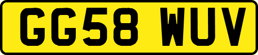 GG58WUV