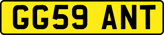 GG59ANT