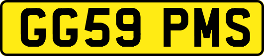 GG59PMS