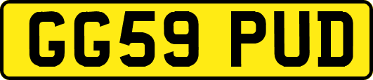 GG59PUD