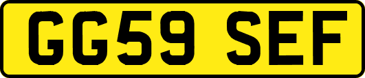 GG59SEF