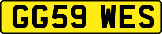 GG59WES