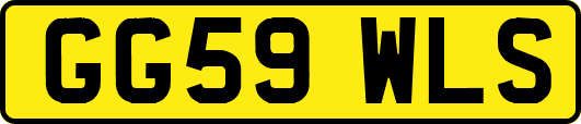 GG59WLS
