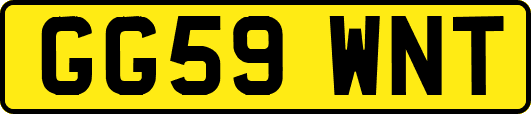 GG59WNT