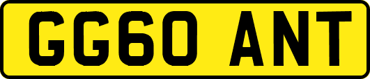 GG60ANT