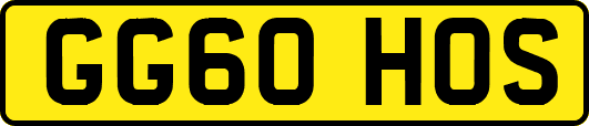 GG60HOS