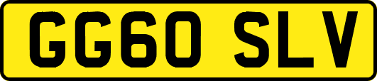 GG60SLV