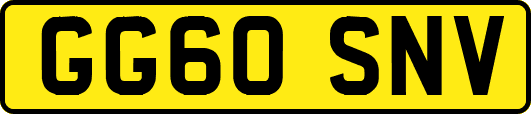 GG60SNV