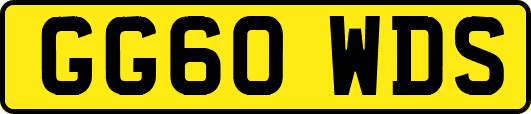GG60WDS