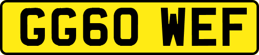 GG60WEF