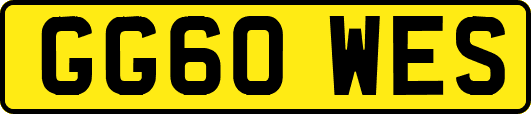 GG60WES