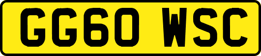 GG60WSC