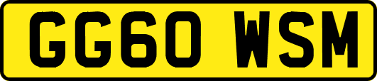 GG60WSM