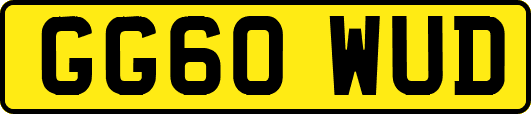 GG60WUD