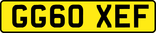GG60XEF