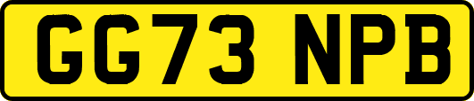 GG73NPB