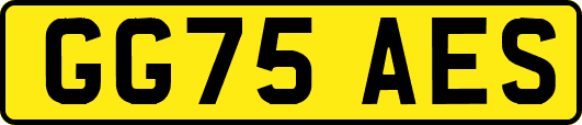GG75AES