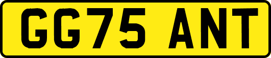 GG75ANT