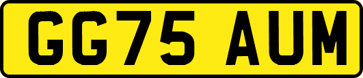 GG75AUM