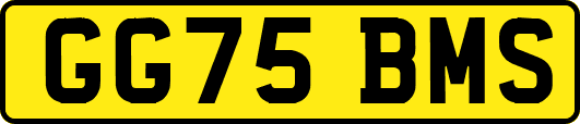 GG75BMS