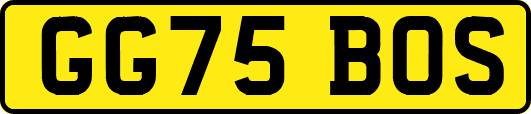 GG75BOS