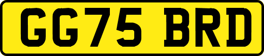 GG75BRD