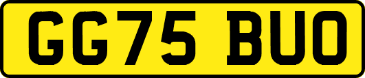 GG75BUO