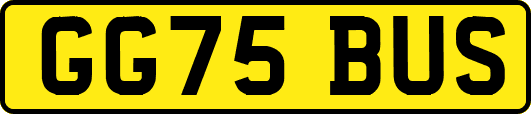 GG75BUS