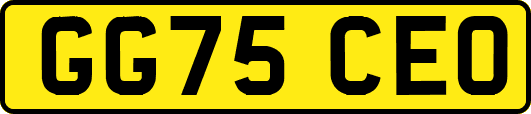 GG75CEO