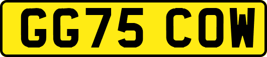 GG75COW