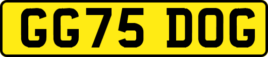 GG75DOG