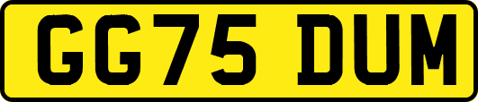 GG75DUM