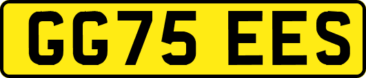 GG75EES