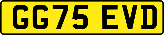 GG75EVD