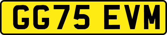 GG75EVM