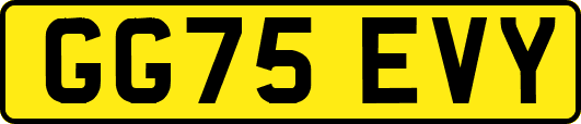 GG75EVY