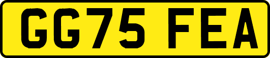 GG75FEA