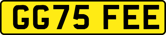 GG75FEE