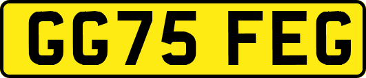 GG75FEG