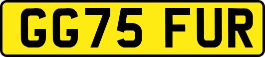 GG75FUR