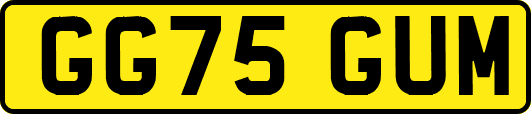 GG75GUM