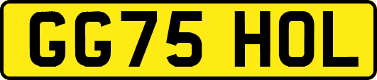 GG75HOL