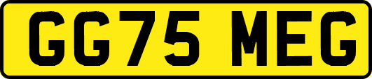GG75MEG