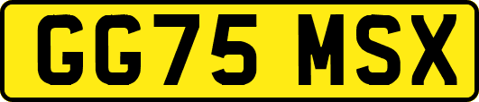 GG75MSX